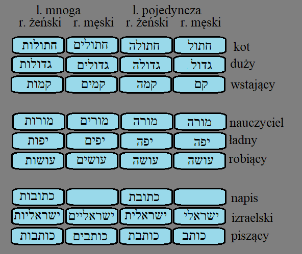 Język hebrajski