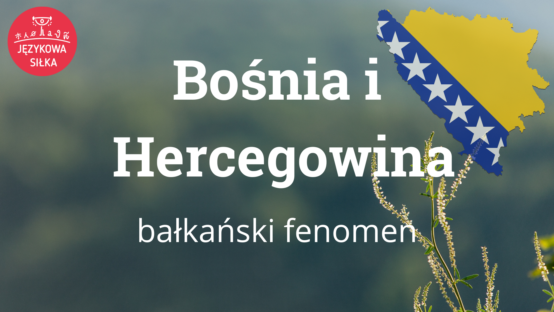 Bośnia i Hercegowina