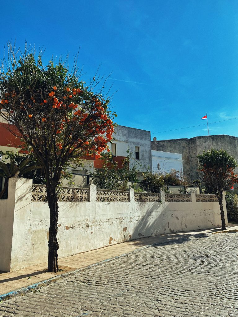 Pomarańcze, pomarańcze, wszędzie pomarańcze | Tarifa, Andaluzja 📌