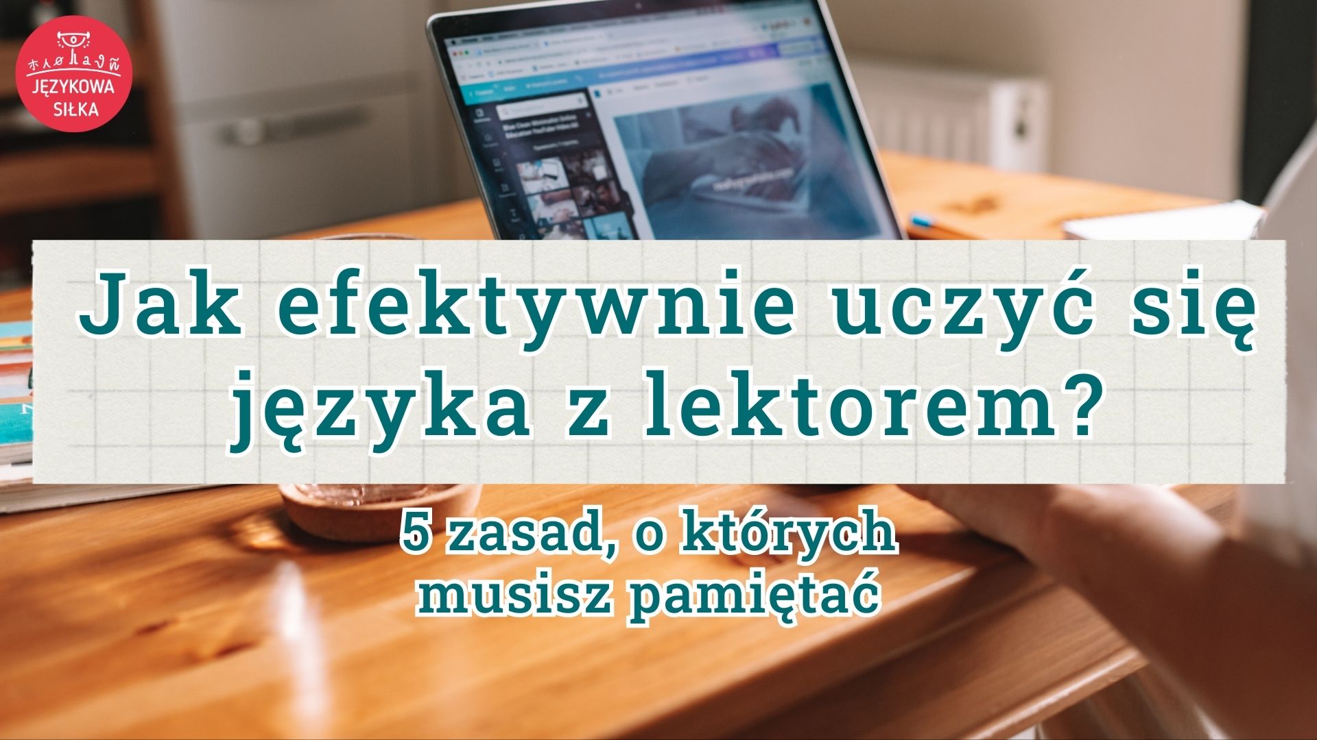 jak współpracować z lektorem