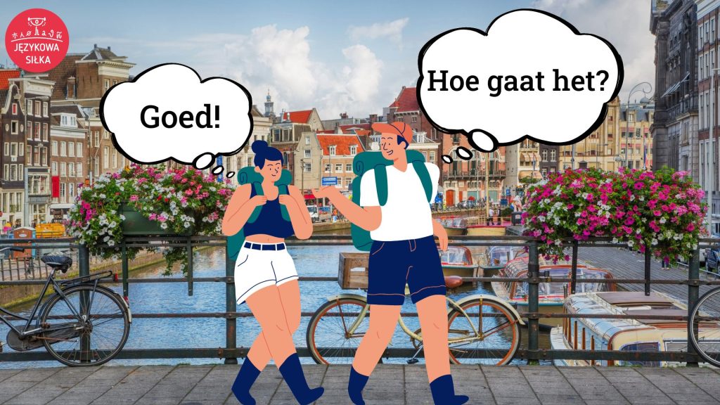 język niderlandzki