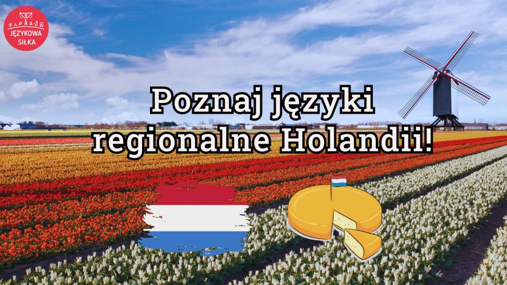 w jakim języku mówi się w holandii