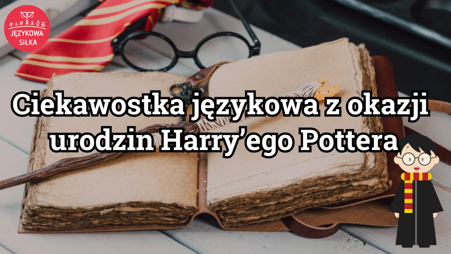 harry potter po norwesku